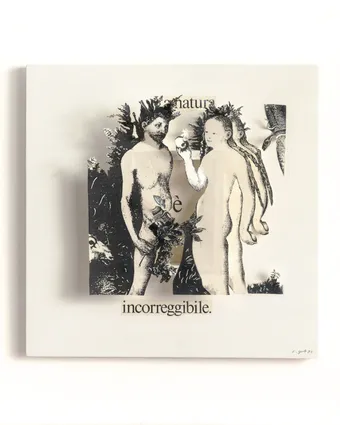 Elisabetta Gut, La Natura Incorreggibile, 1990