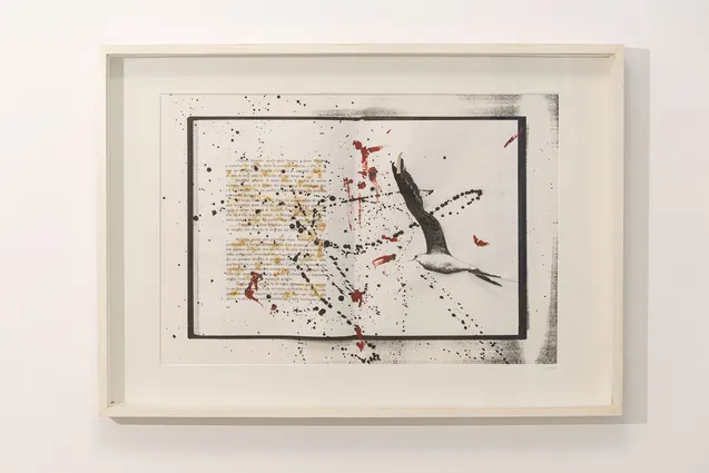 Elisabetta Gut, …A black explosion, he drifted while watching…, 1983–1991